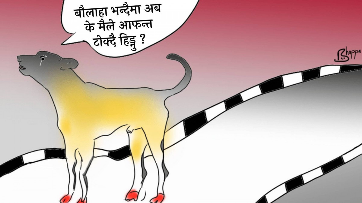 बौलाहा भन्दैमा अब के मैले आफन्त टोक्दै हिड्नु ?