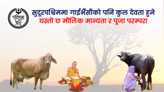 डोट्याली लोक समुदायमा गाईभैँसीको कुलदेवता  पुज्ने परम्परा