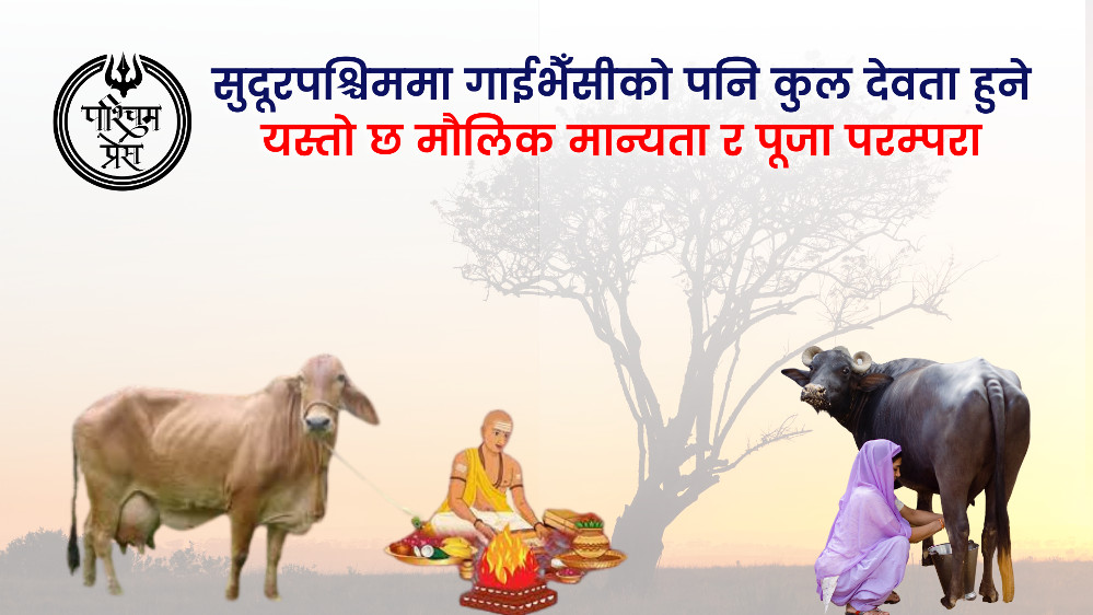डोट्याली लोक समुदायमा गाईभैँसीको कुलदेवता  पुज्ने परम्परा