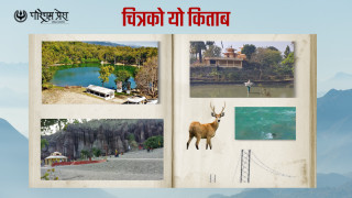 चित्रको यो किताब