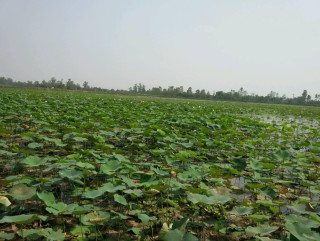 सधैँ बल्झिरहन्छन्ः प्याराताल र ब्रह्मदेव क्षेत्र
