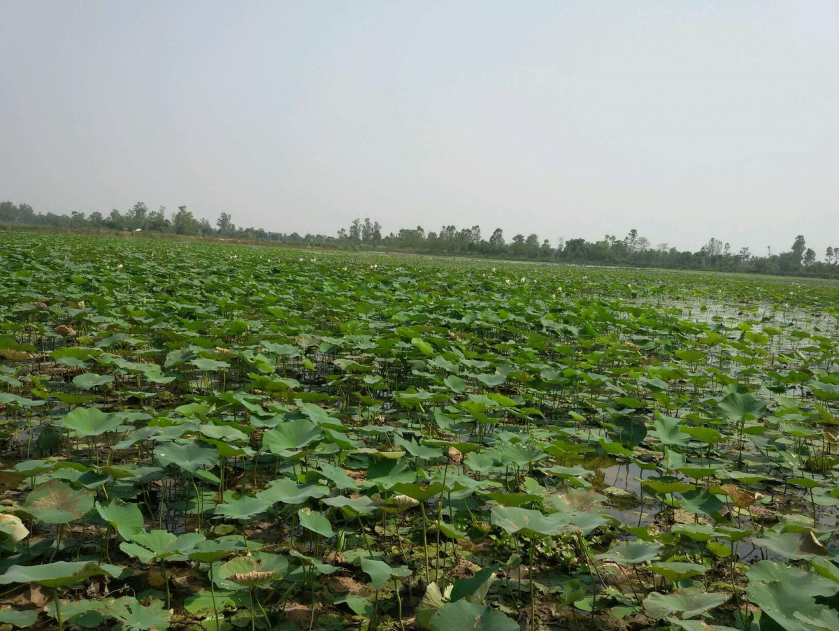 सधैँ बल्झिरहन्छन्ः प्याराताल र ब्रह्मदेव क्षेत्र