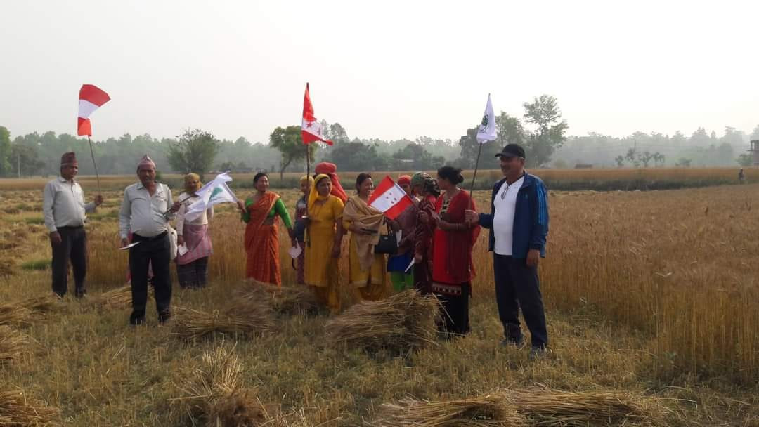 कञ्चनपुरमा  दलहरूले बढाए चुनावी गतिविधि
