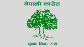 ४९ स्थानीय तहको प्रमुखका साथ कांग्रेस पहिलो स्थानमा