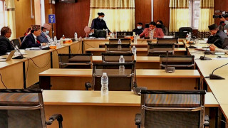 श्रीलङ्का र डेनमार्कका लागि प्रस्तावित राजदूतको नाम अनुमोदन