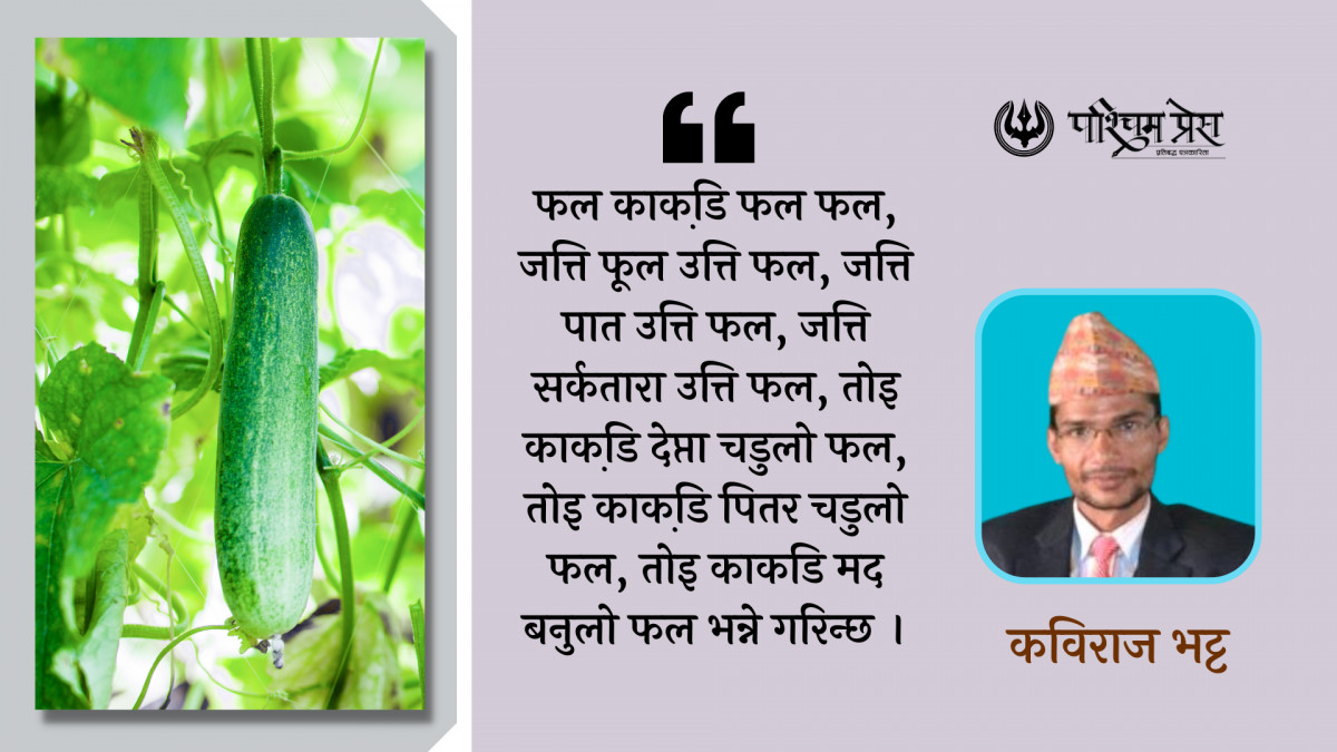 डोट्याली लोकफलहरुमा काकड़ो र यससँग जोडिएका विविध सन्दर्भ