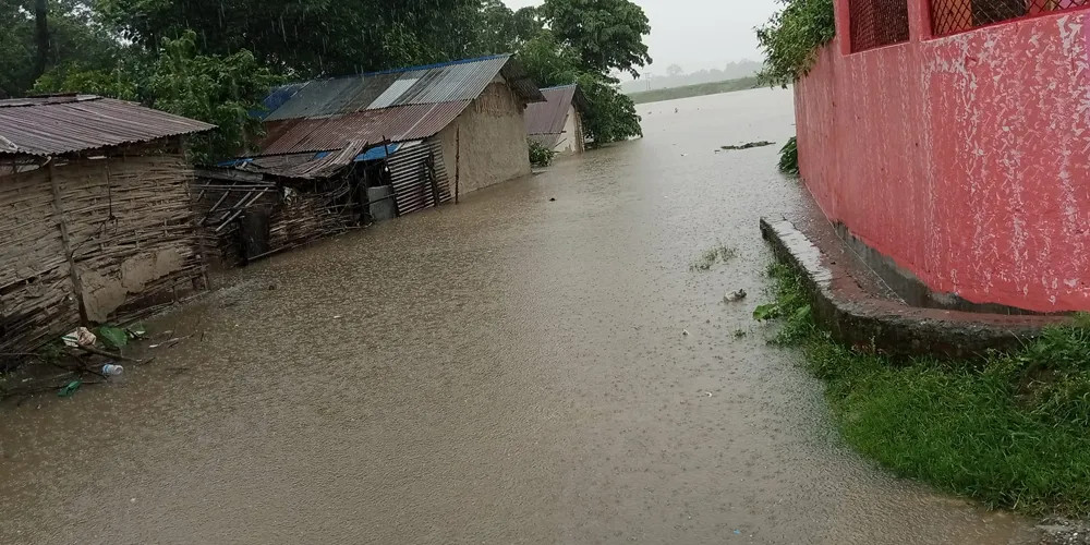 वनहरा शिविर डुबानमा परेपछि उद्धार