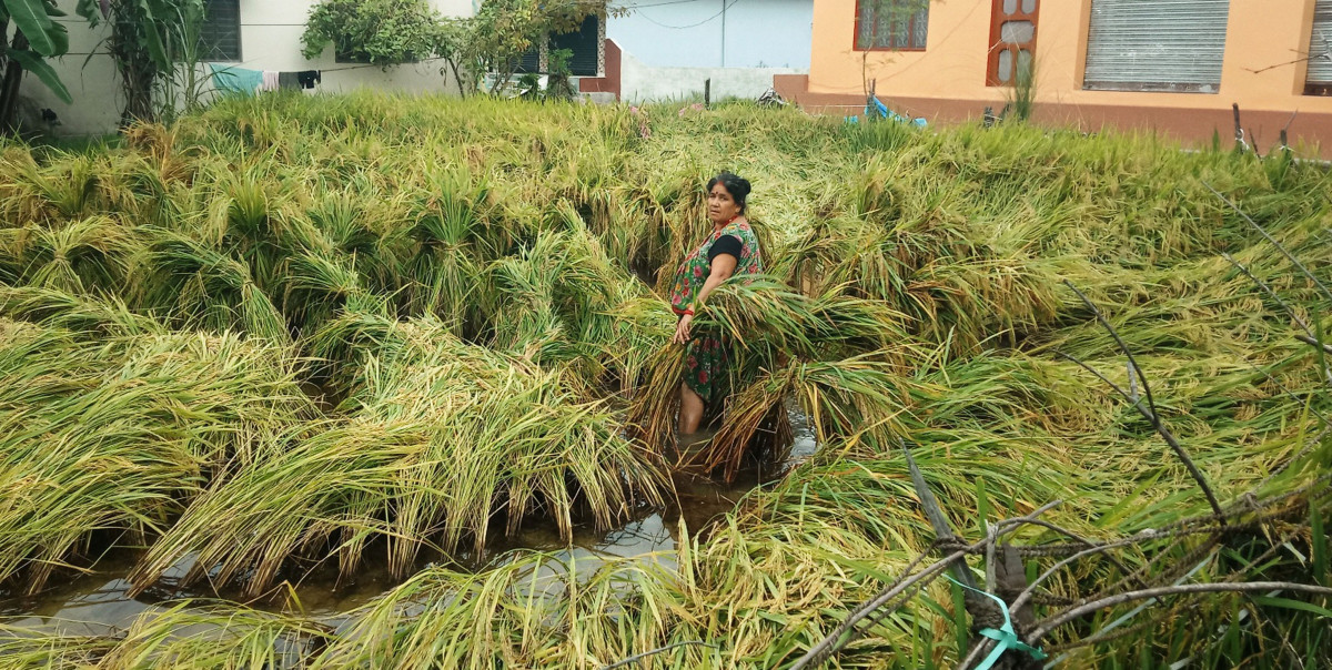 ‘किसानको पीडा सरकारले  सुन्दैन’