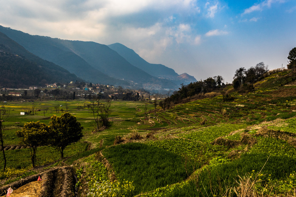 खेतीयोग्य जमिन  : पहाडमा बाँझो, तराईमा मासिँदै