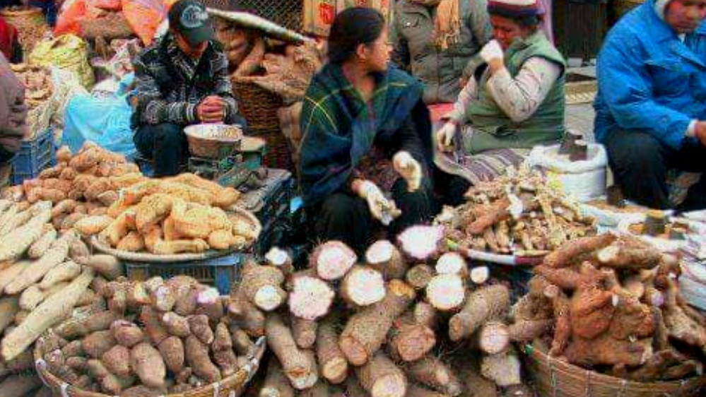 माघीको तयारीमा थारू समुदाय