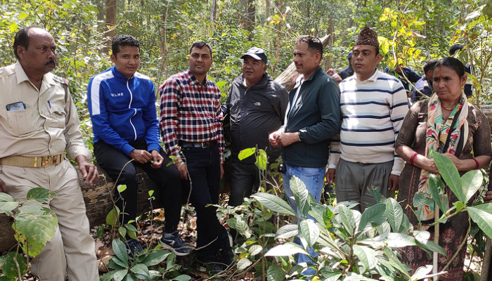 कञ्चनपुरको पुनर्वासमा बाघको आक्रमणबाट  एक महिलाको मृत्यु