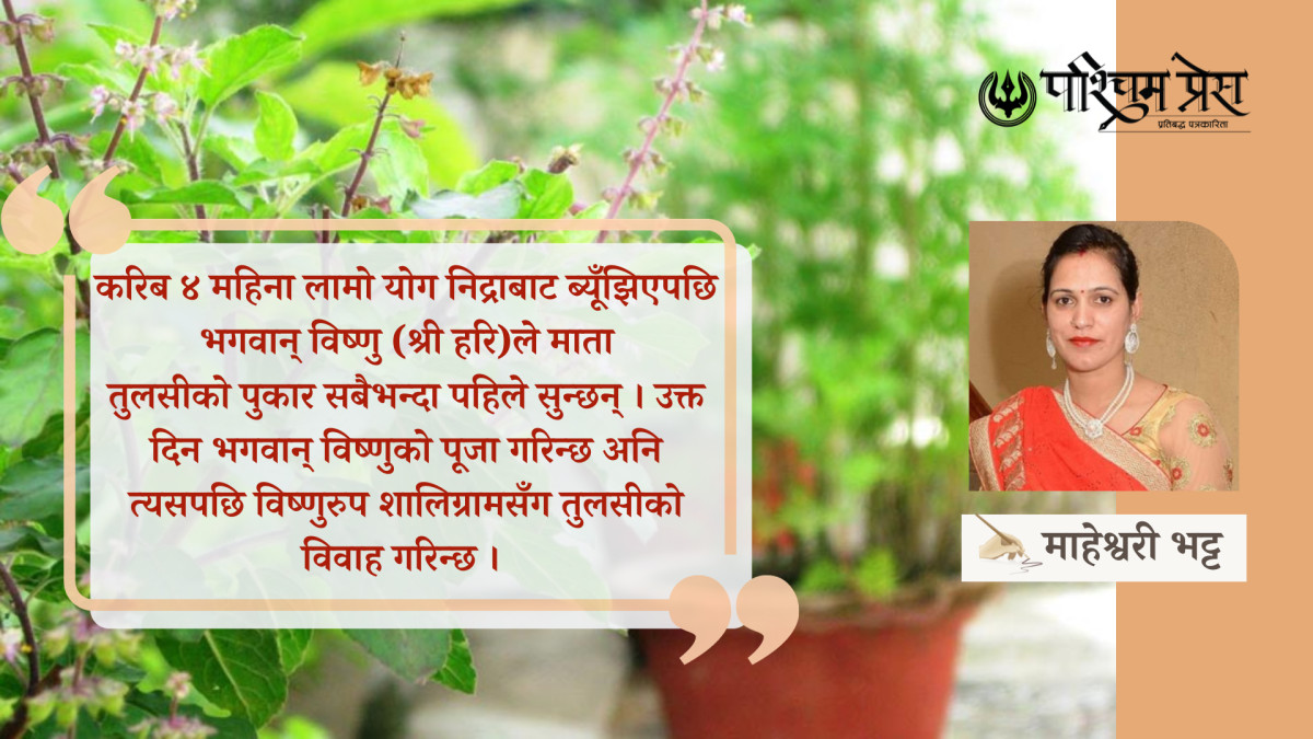 हरिबोधिनी एकादशी एवम् तुलसी विवाह