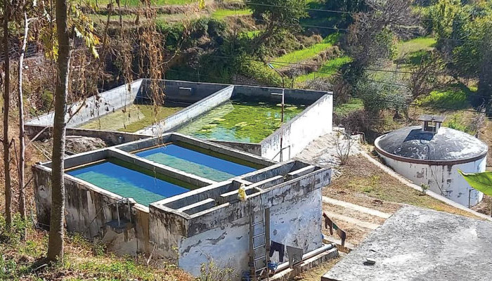 सदरमुकाममै खानेपानी समस्या, पानी भर्न चार दिन कुर्नुपर्ने