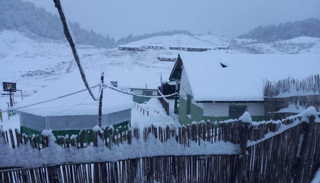 snowfall (4).png