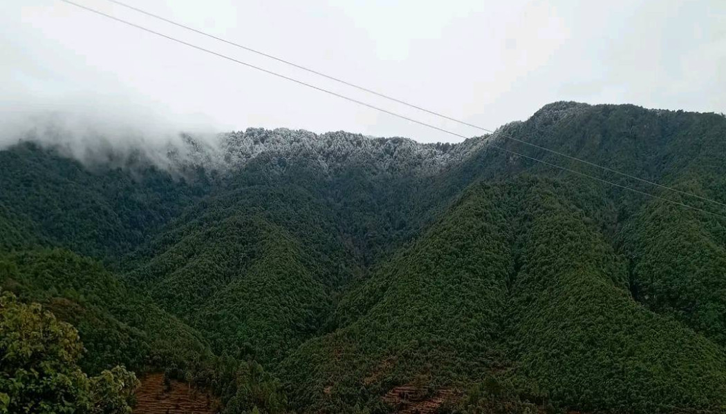 snowfall (5).png