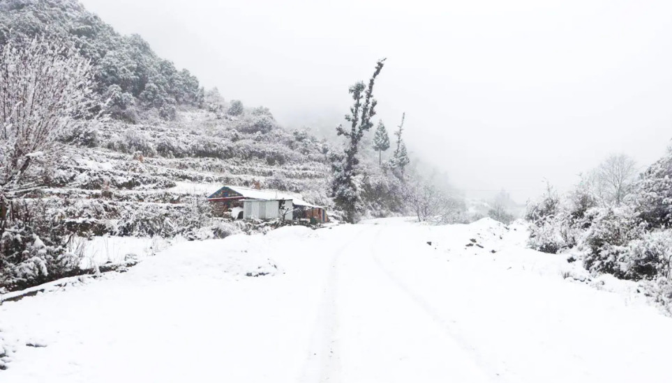 बाजुरामा वर्षासँगै पुनः हिमपात