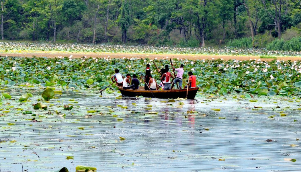 बेसरम झारले ढाकिँदै घोडाघोडी ताल