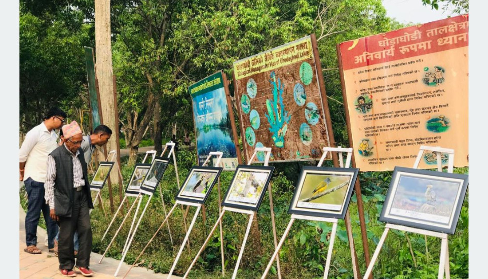 घोडाघोडीमा चरा उत्सव तथा तस्बिर प्रदर्शनी