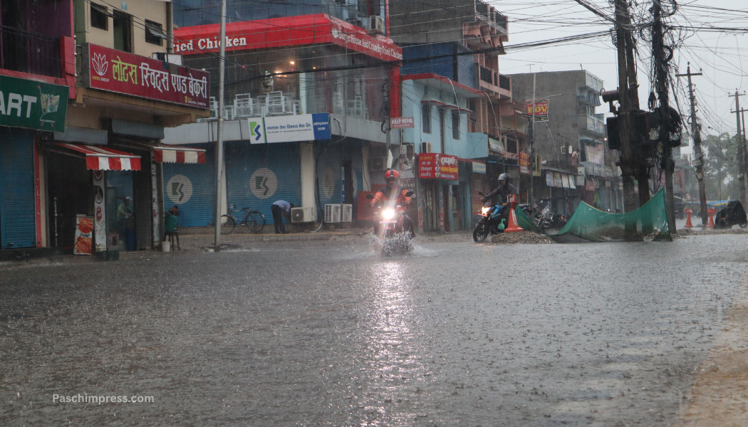 barsa (6).png