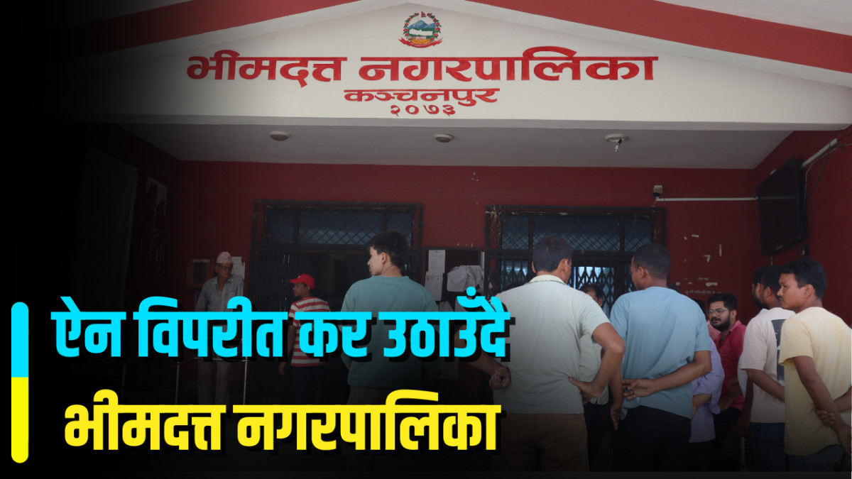 ऐन विपरीत अन्तरपालिका कर उठाउँदै भीमदत्त